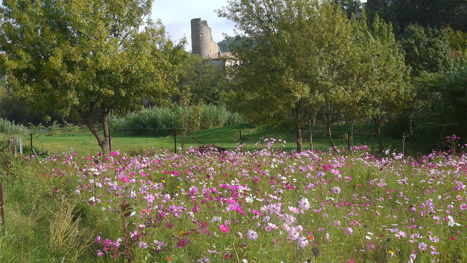 Lagrasse, la tour de plaisance © Dominique Bondu